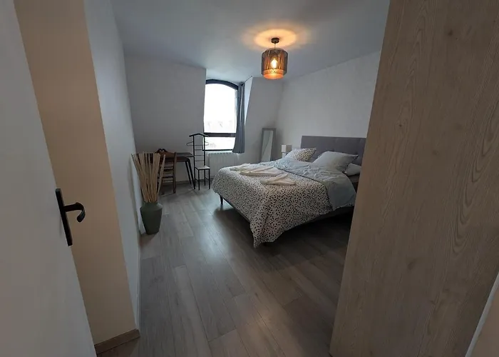 公寓 T2 Centre-ville 阿棉